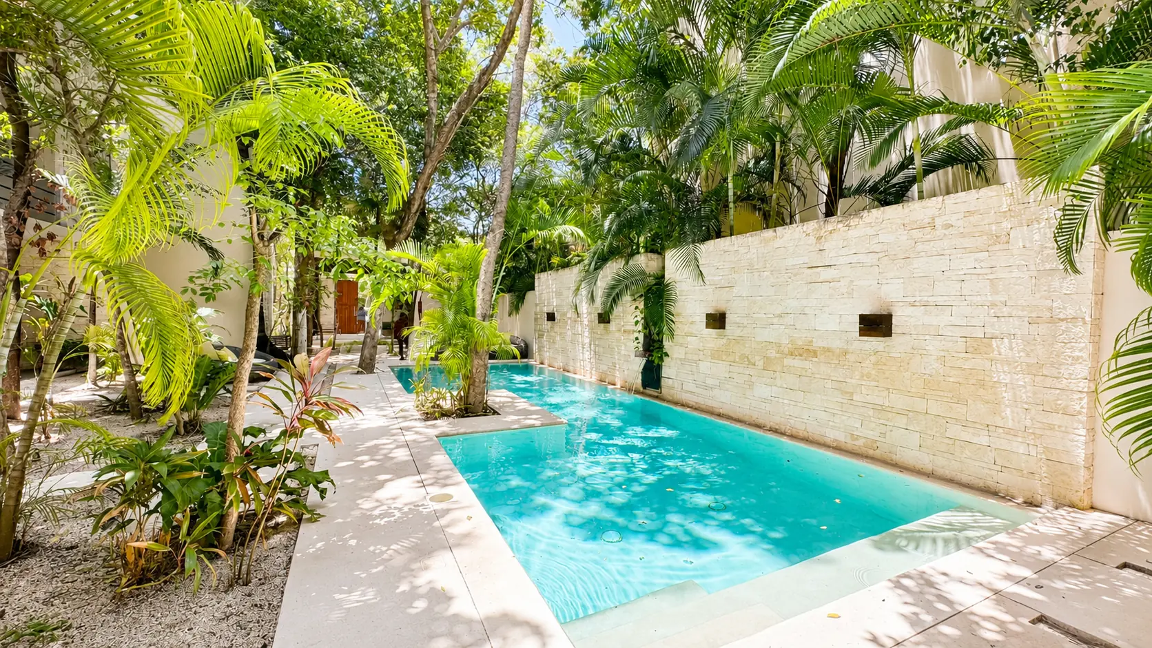 Alberca rodeada de vegetación en Tulum